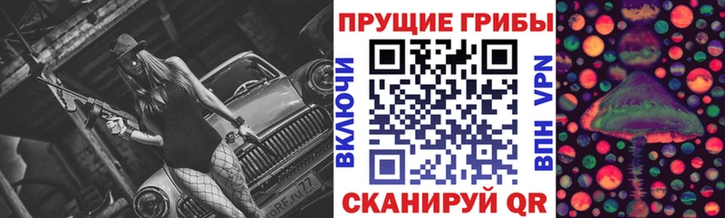 Псилоцибиновые грибы Psilocybe  Тара 
